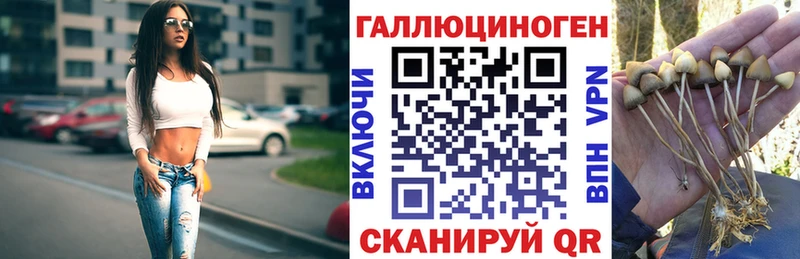 Галлюциногенные грибы ЛСД  Салаир 